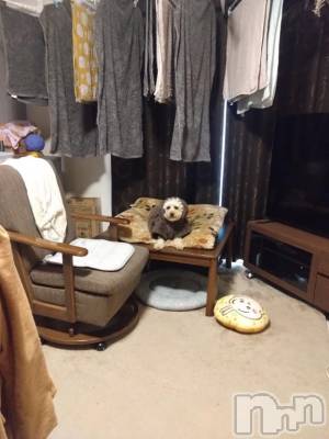 上越デリヘル HONEY(ハニー) なほみ(42)の1月17日写メブログ「予定変更で」