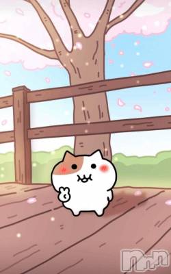 上越デリヘル HONEY(ハニー) なほみ(42)の4月3日写メブログ「桜咲いた？？🌸」