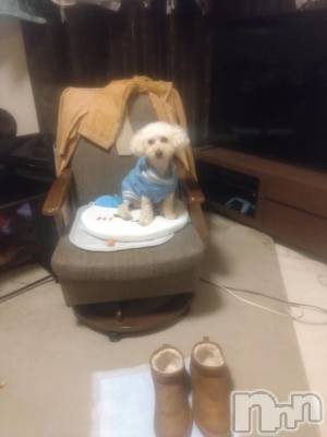 上越デリヘル HONEY(ハニー) なほみ(42)の4月21日写メブログ「🍓みなちゃま ももちゃま🍑」