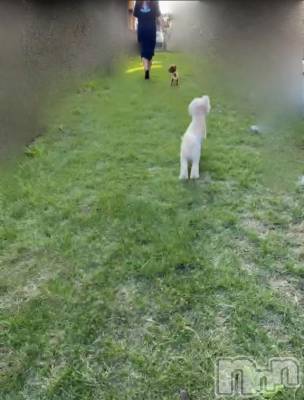 上越デリヘル HONEY(ハニー) なほみ(42)の10月21日写メブログ「ドックランにて なほみと犬」