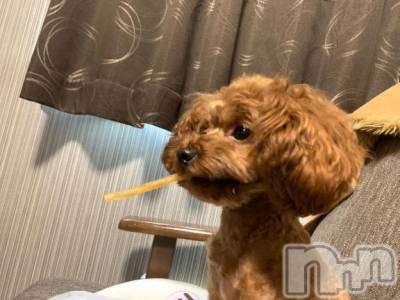 上越デリヘル HONEY(ハニー) なほみ(42)の10月30日写メブログ「みずほ♪♪さん音符1イベントやってます🫶」