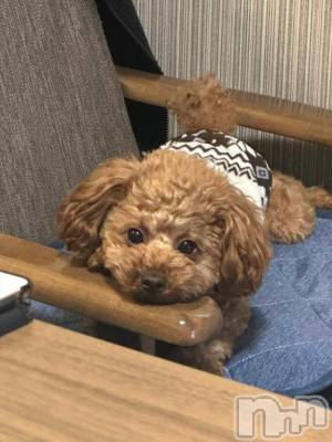 上越デリヘル HONEY(ハニー) なほみ(42)の2月4日写メブログ「福は内(꜆꜄꜆˙꒳˙)꜆꜄꜆🫘」