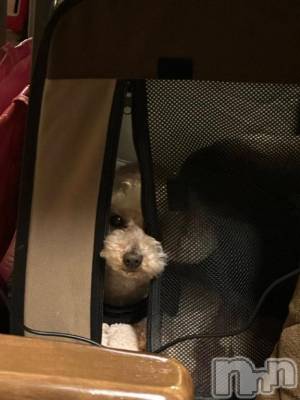 上越デリヘル HONEY(ハニー) なほみ(42)の2月10日写メブログ「らむねさん、可愛い！」