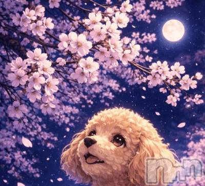 上越デリヘル HONEY(ハニー) なほみ(42)の3月21日写メブログ「春🌸仕様になりました✨😊」