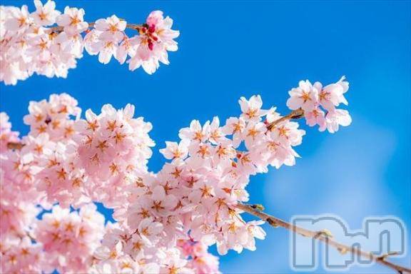 上越デリヘルHONEY(ハニー) みかこ(42)の4月11日写メブログ「明日～」