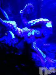 上越デリヘルHONEY(ハニー) みかこ(42)の8月20日写メブログ「ありがちゅ♪」