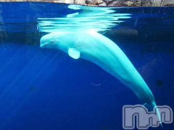 上越デリヘル HONEY(ハニー) みかこ(42)の5月20日写メブログ「きたな！」