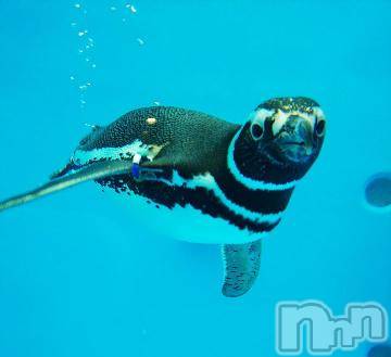 上越デリヘル HONEY(ハニー) みかこ(42)の5月31日写メブログ「ありがちゅ♪」