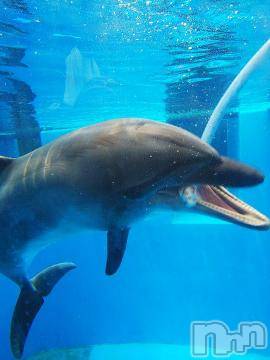 上越デリヘル HONEY(ハニー) みかこ(42)の6月5日写メブログ「ありがちゅ♪」