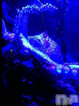 上越デリヘル HONEY(ハニー) みかこ(42)の6月13日写メブログ「こんにちわわ♪」