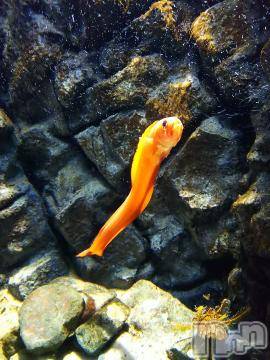 上越デリヘル HONEY(ハニー) みかこ(42)の6月15日写メブログ「ありがちゅ♪」