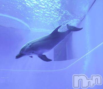 上越デリヘル HONEY(ハニー) みかこ(42)の6月18日写メブログ「ありがちゅ～♪」