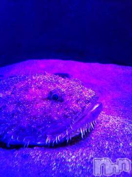 上越デリヘル HONEY(ハニー) みかこ(42)の6月25日写メブログ「おはる♪」