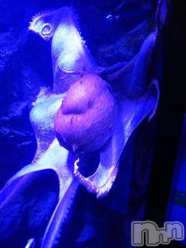 上越デリヘル HONEY(ハニー) みかこ(42)の6月26日写メブログ「ありがちゅ♪」