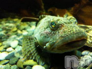 上越デリヘル HONEY(ハニー) みかこ(42)の6月28日写メブログ「ありがちゅ♪」