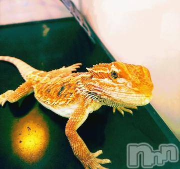 上越デリヘル HONEY(ハニー) みかこ(42)の7月6日写メブログ「こんにちわな♪」