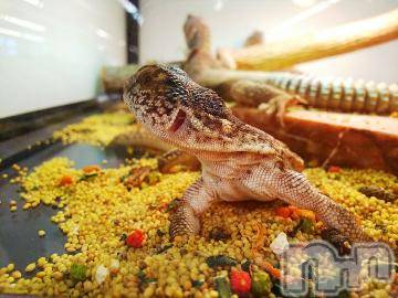 上越デリヘル HONEY(ハニー) みかこ(42)の7月11日写メブログ「こんにちわわ♪」