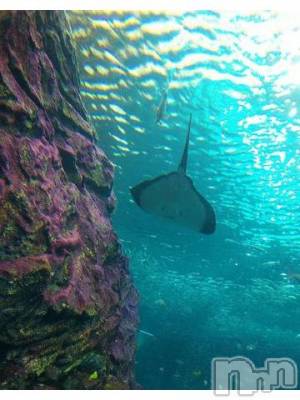 上越デリヘル HONEY(ハニー) みかこ(42)の7月12日写メブログ「ありがちゅ♪」