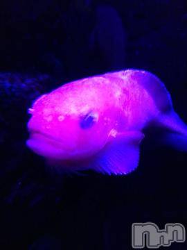 上越デリヘル HONEY(ハニー) みかこ(42)の7月26日写メブログ「ありがちゅ♪」