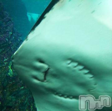 上越デリヘル HONEY(ハニー) みかこ(42)の7月31日写メブログ「ありがちゅ♪×２」