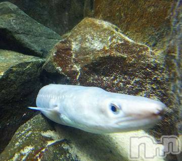 上越デリヘル HONEY(ハニー) みかこ(42)の8月2日写メブログ「ありがちゅ♪」