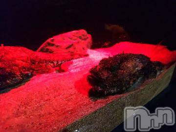 上越デリヘル HONEY(ハニー) みかこ(42)の8月28日写メブログ「おはる♪」