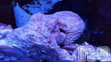 上越デリヘル HONEY(ハニー) みかこ(42)の3月11日写メブログ「ありがとう～(^3^)/」