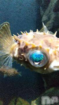 上越デリヘル HONEY(ハニー) みかこ(42)の4月17日写メブログ「ありがとう！」