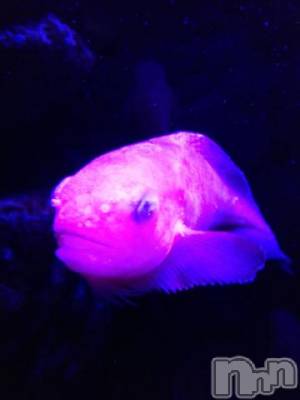 上越デリヘル HONEY(ハニー) みかこ(42)の7月5日写メブログ「こんご。。。」