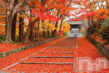 上越デリヘル HONEY(ハニー) みかこ(42)の9月26日写メブログ「お久しぶりです！」