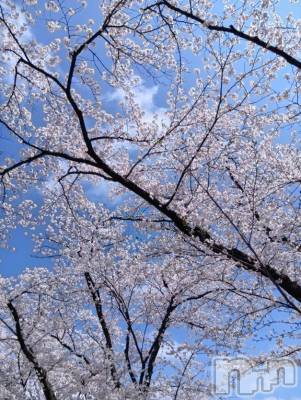 上越デリヘル HONEY(ハニー) みかこ(42)の4月16日写メブログ「ありがとう(⁠ ⁠◜⁠‿⁠◝⁠ ⁠)⁠♡」