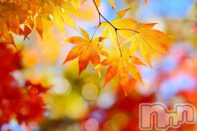 上越デリヘル HONEY(ハニー) みかこ(42)の9月22日写メブログ「朝寒っ」