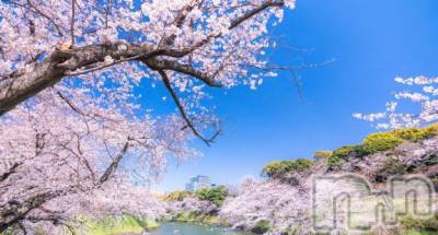 上越デリヘル HONEY(ハニー) みかこ(42)の4月11日写メブログ「久しぶりの、、、」