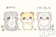 上越デリヘルHONEY(ハニー) みほ(47)の12月11日写メブログ「ありがとうございました😚」