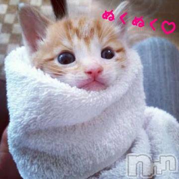 新潟デリヘル五十路マダム新潟店(カサブランカグループ)(イソジマダムニイガタテン) 明智由奈(50)の9月18日写メブログ「ぬくぬく(o^^o)」