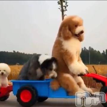 新潟デリヘル五十路マダム新潟店(カサブランカグループ)(イソジマダムニイガタテン) 明智由奈(50)の8月2日写メブログ「出勤しまーす♪」