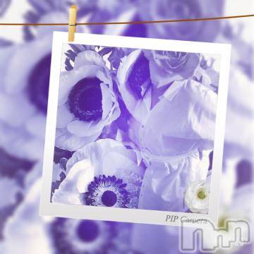 新潟デリヘル五十路マダム新潟店(カサブランカグループ)(イソジマダムニイガタテン) 明智由奈(50)の6月22日写メブログ「しゅっきーん?」