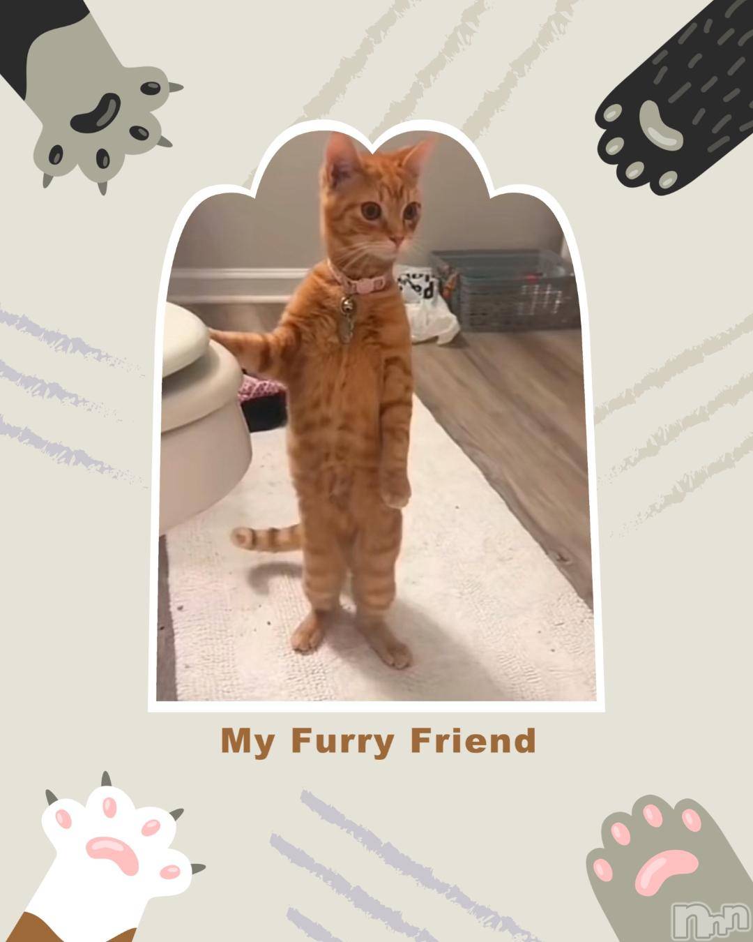 新潟デリヘル五十路マダム新潟店(カサブランカグループ)(イソジマダムニイガタテン)明智由奈(50)の2024年11月3日写メブログ「可愛いすぎ」