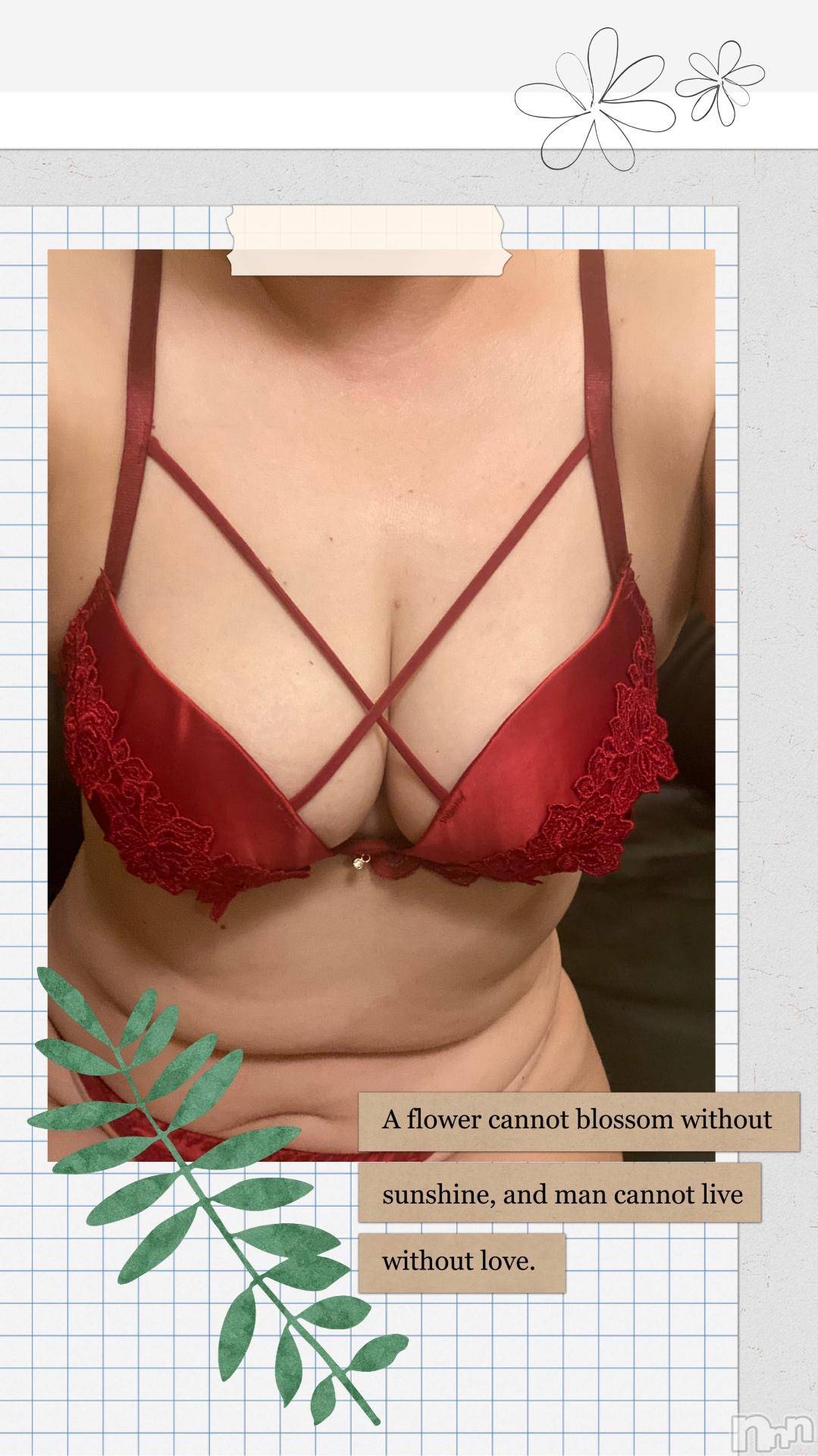 新潟デリヘル五十路マダム新潟店(カサブランカグループ)(イソジマダムニイガタテン)明智由奈(50)の2024年11月19日写メブログ「バタバタ」