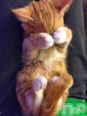 新潟デリヘル五十路マダム新潟店(カサブランカグループ)(イソジマダムニイガタテン) 明智由奈(50)の6月19日写メブログ「大丈夫ですか？」