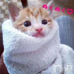 新潟デリヘル五十路マダム新潟店(カサブランカグループ)(イソジマダムニイガタテン) 明智由奈(50)の9月18日写メブログ「ぬくぬく(o^^o)」