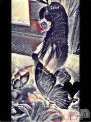 新潟デリヘル五十路マダム新潟店(カサブランカグループ)(イソジマダムニイガタテン) 明智由奈(50)の5月13日写メブログ「出勤」