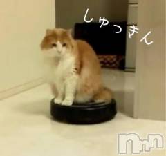 新潟デリヘル五十路マダム新潟店(カサブランカグループ)(イソジマダムニイガタテン) 明智由奈(50)の10月11日写メブログ「あるある」