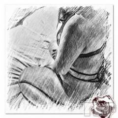 新潟デリヘル五十路マダム新潟店(カサブランカグループ)(イソジマダムニイガタテン) 明智由奈(50)の11月17日写メブログ「ありがたいのですが…」