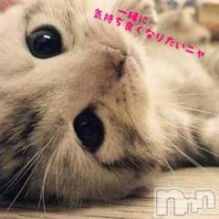 新潟デリヘル五十路マダム新潟店(カサブランカグループ)(イソジマダムニイガタテン) 明智由奈(50)の11月24日写メブログ「ぬくぬく(*^^*)」