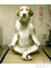 新潟デリヘル五十路マダム新潟店(カサブランカグループ)(イソジマダムニイガタテン) 明智由奈(50)の2月3日写メブログ「全集中…」