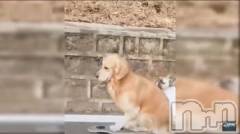 新潟デリヘル五十路マダム新潟店(カサブランカグループ)(イソジマダムニイガタテン) 明智由奈(50)の12月15日写メブログ「しゅっきーん」