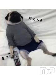 新潟デリヘル五十路マダム新潟店(カサブランカグループ)(イソジマダムニイガタテン) 明智由奈(50)の2月25日写メブログ「ぼー…」