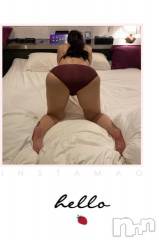 新潟デリヘル五十路マダム新潟店(カサブランカグループ)(イソジマダムニイガタテン) 明智由奈(50)の7月18日写メブログ「おはようございます」