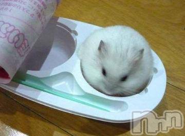 新潟デリヘル 五十路マダム新潟店(カサブランカグループ)(イソジマダムニイガタテン) 明智由奈(50)の7月18日写メブログ「食べる？」